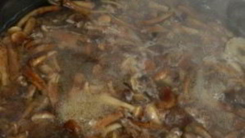 маринованные опята с горчицей