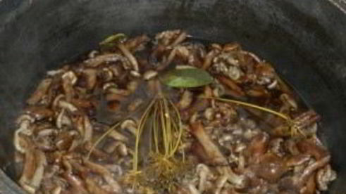 маринованные опята с горчицей