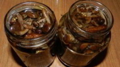 маринованные опята с горчицей