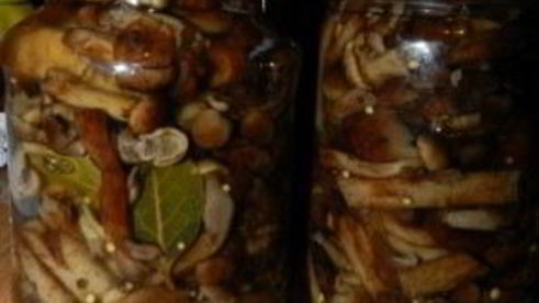 маринованные опята с горчицей