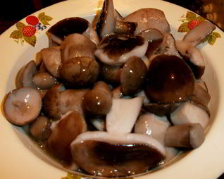 Маринованные подберезовики на зиму