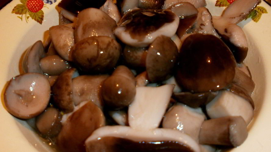 Рецепт маринованные подберезовики на зиму