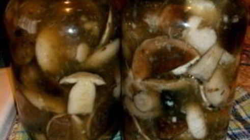 маринованные подберезовики на зиму