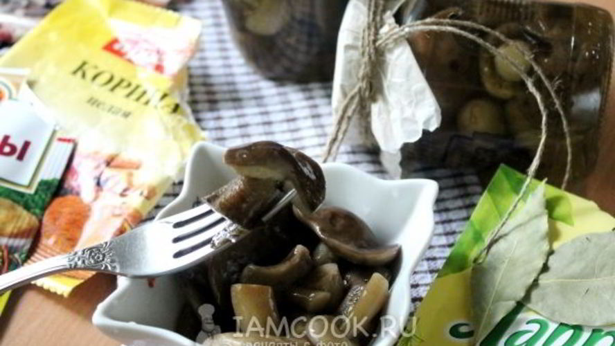 Рецепт маринованные подберезовики