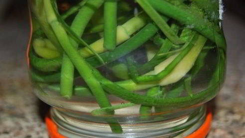 маринованные стрелки чеснока