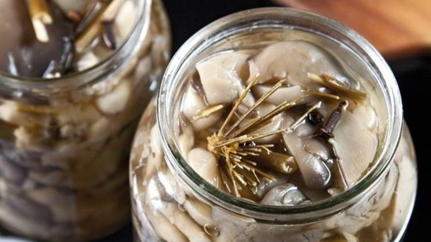 Рецепт маринованные вешенки за 30 минут