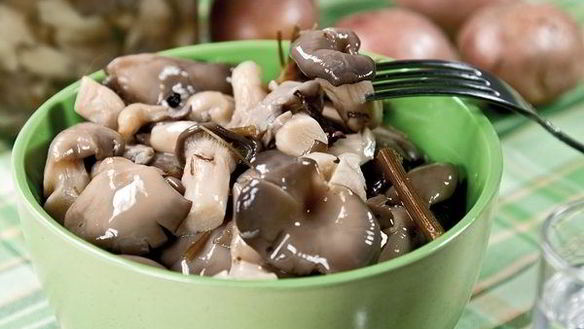 Рецепт Маринованные вешенки за сутки