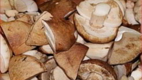 подберезовики маринованные