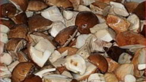 подберезовики маринованные