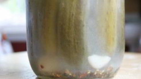 сладкие маринованные огурцы на зиму