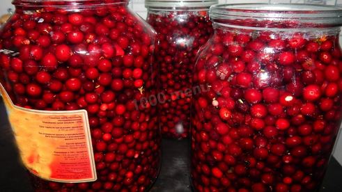 моченая брусника на зиму