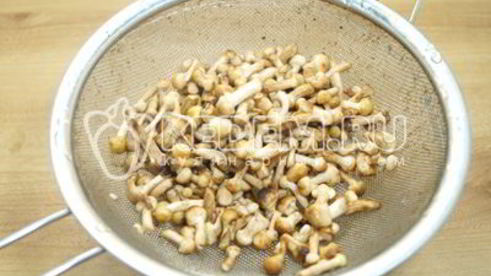 опята душистые