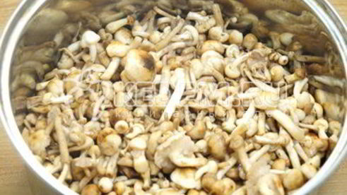 опята душистые