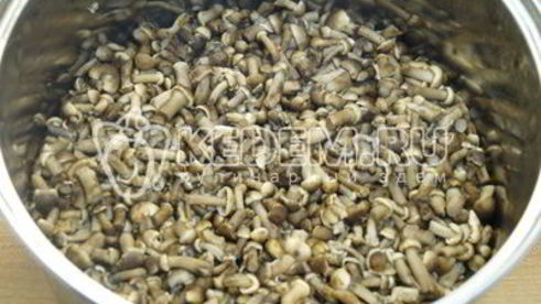 опята душистые