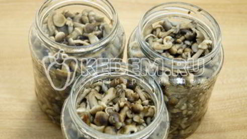 опята душистые