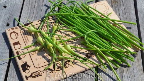 паста из чесночных стрелок на зиму