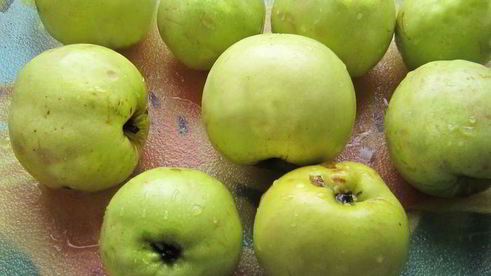 приправа из овощей