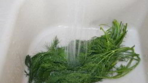 быстрые малосольные огурцы в банке