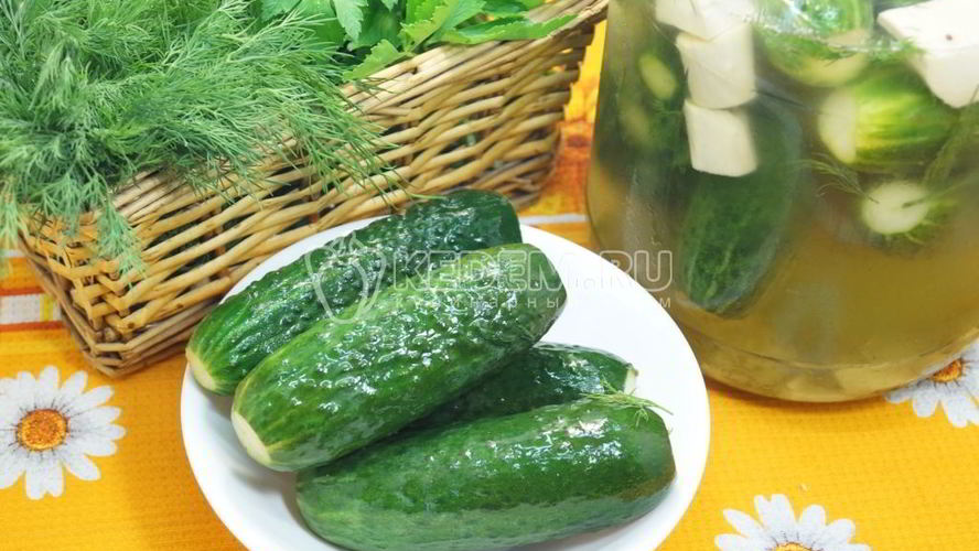 Рецепт хрустящие малосольные огурцы в банке