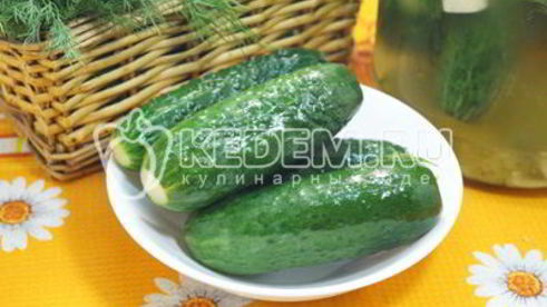 хрустящие малосольные огурцы в банке