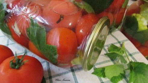 консервированные помидоры