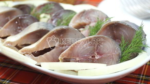 Рецепт Малосольная скумбрия
