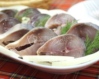 Малосольная скумбрия