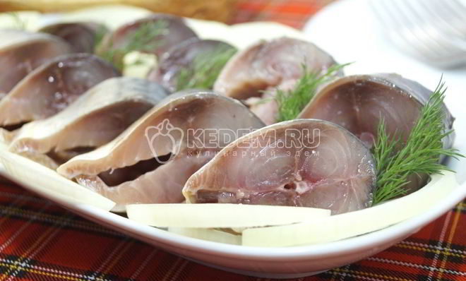 Малосольная скумбрия