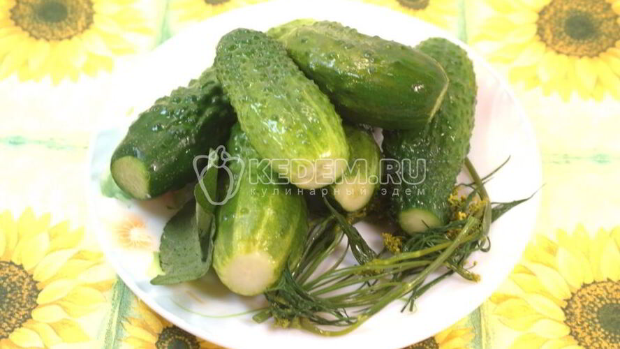 Рецепт малосольные огурчики