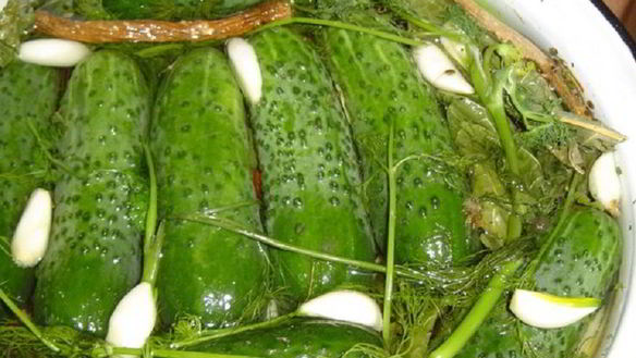 Рецепт Малосольные огурцы с горчицей