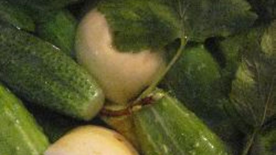 Рецепт малосольные огурцы с яблоками