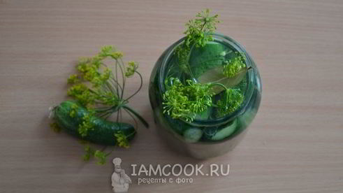 малосольные огурцы в банке