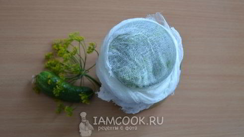 малосольные огурцы в банке