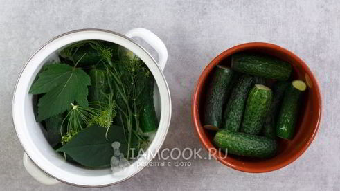 малосольные огурцы в кастрюле