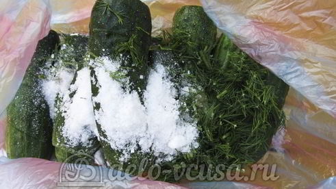 малосольные огурцы в пакете