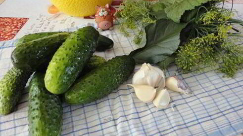 малосольные огурцы