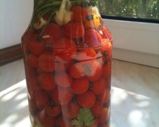 Малосольные помидорчики 3-х дневки