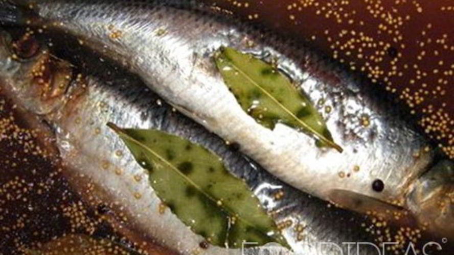 Рецепт соленая сельдь