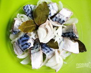 Соленая скумбрия в рассоле