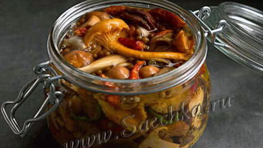 Рецепт соленые грибы с хреном