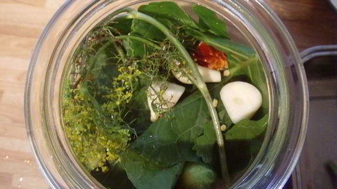 соленые огурцы на зиму