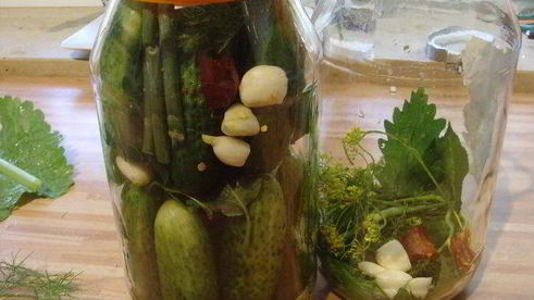 соленые огурцы на зиму