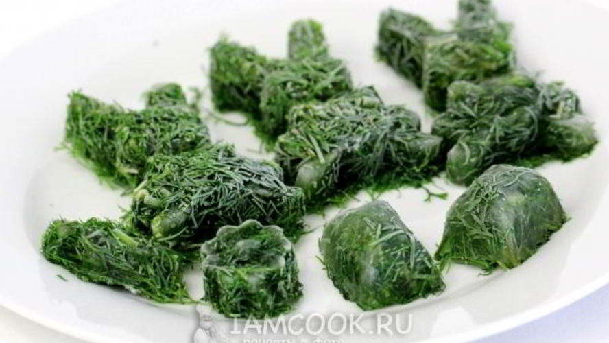 Рецепт укроп на зиму