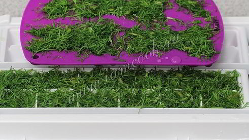 укроп на зиму