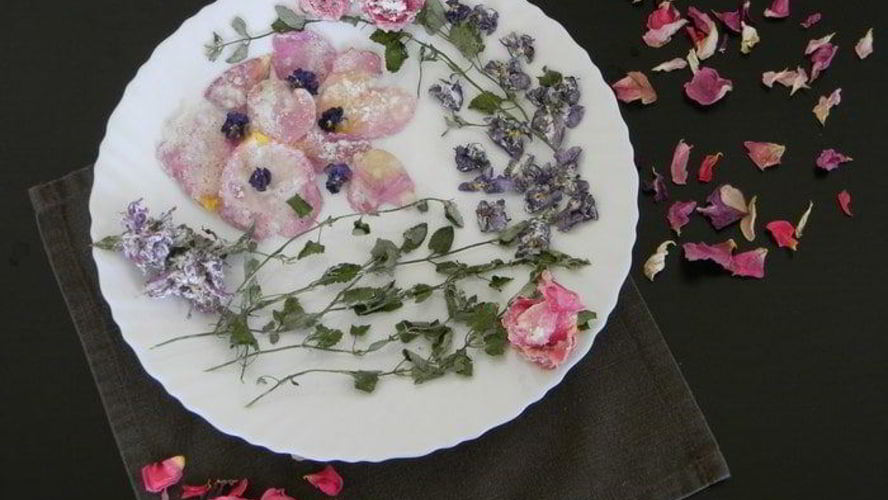 Рецепт цукаты из цветов неувядающая красота