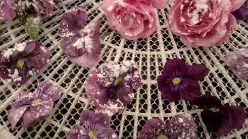 цукаты из цветов неувядающая красота