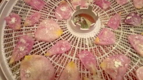 цукаты из цветов неувядающая красота