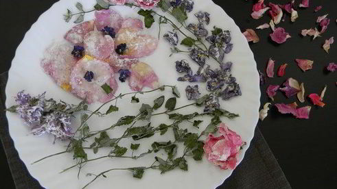 цукаты из цветов неувядающая красота