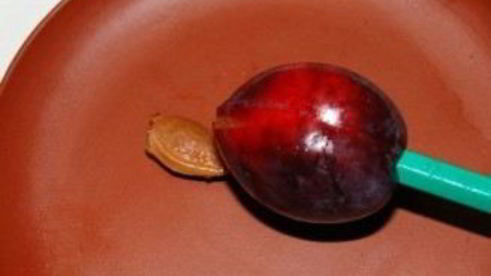 варенье из слив без варки