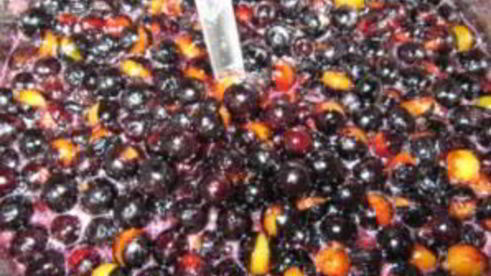 варенье из терна